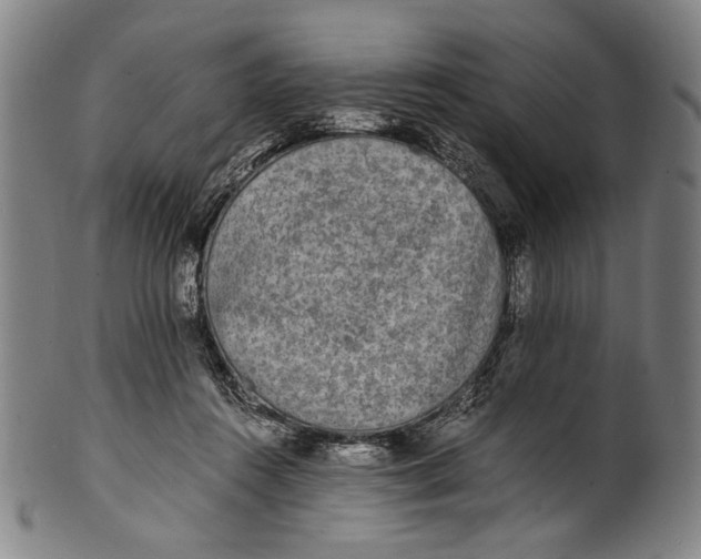 X0000100850360200807111221