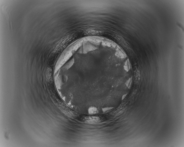 X0000100850361200807111221