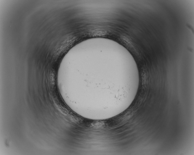 X0000100850362200807111221