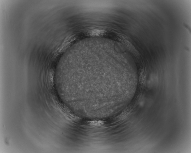 X0000100850363200807111221