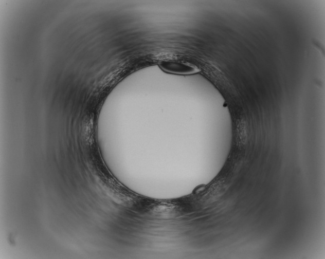 X0000100850364200807111221