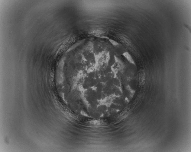 X0000100850365200807111221