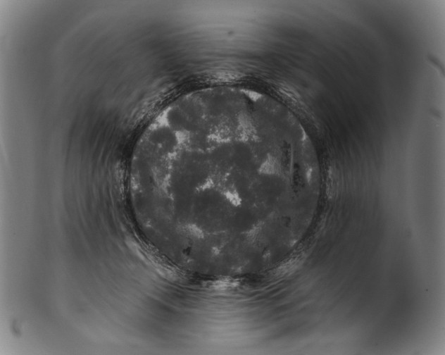 X0000100850366200807111221