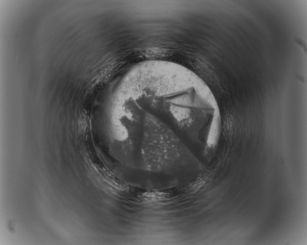 X0000100850367200807111222