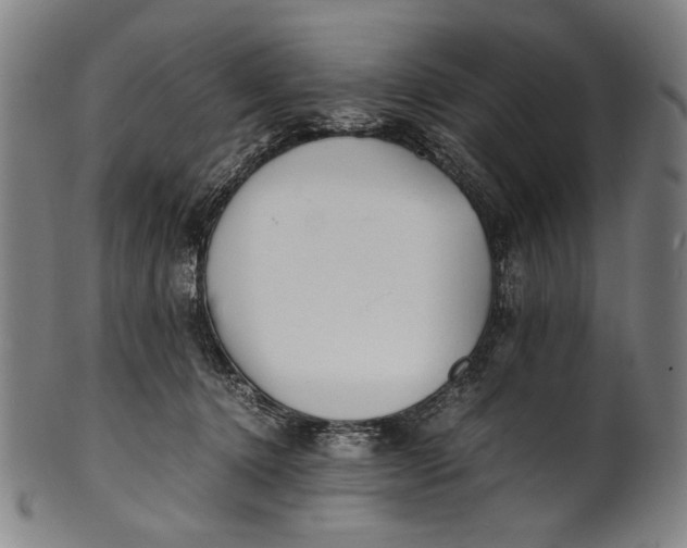 X0000100850368200807111222