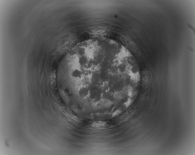 X0000100850369200807111222