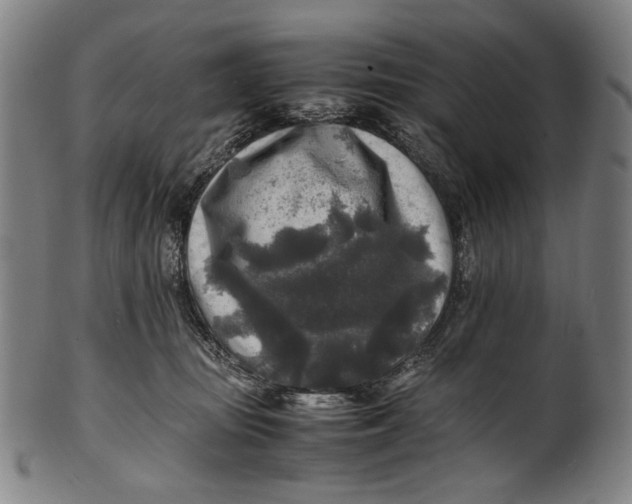 X0000100850371200807111222