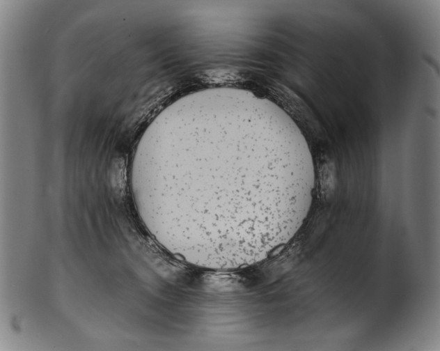 X0000100850372200807111222