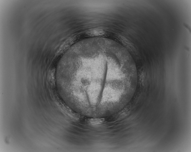 X0000100850373200807111222