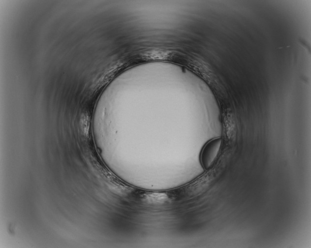 X0000100850374200807111222