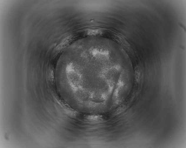 X0000100850375200807111222