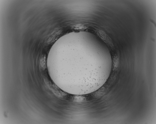 X0000100850376200807111222