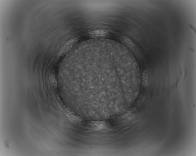 X0000100850377200807111222