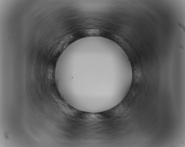 X0000100850379200807111222