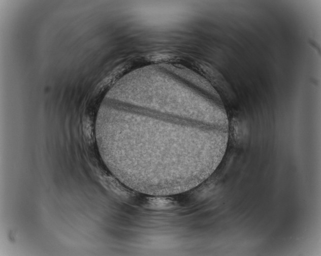 X0000100850380200807111222