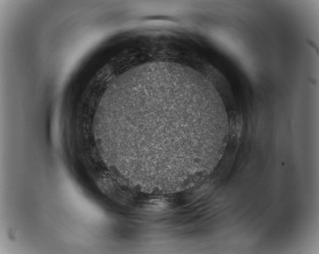 X0000100850381200807111222