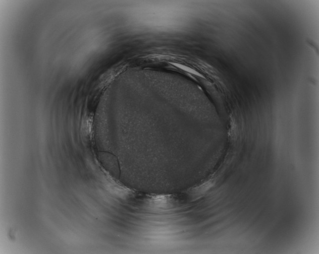 X0000100850382200807111222