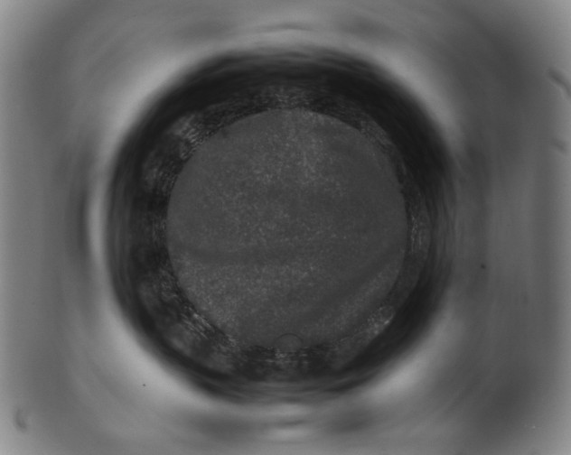 X0000100850383200807111222