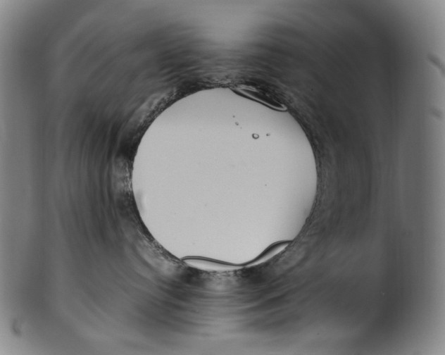 X0000100850384200807111222