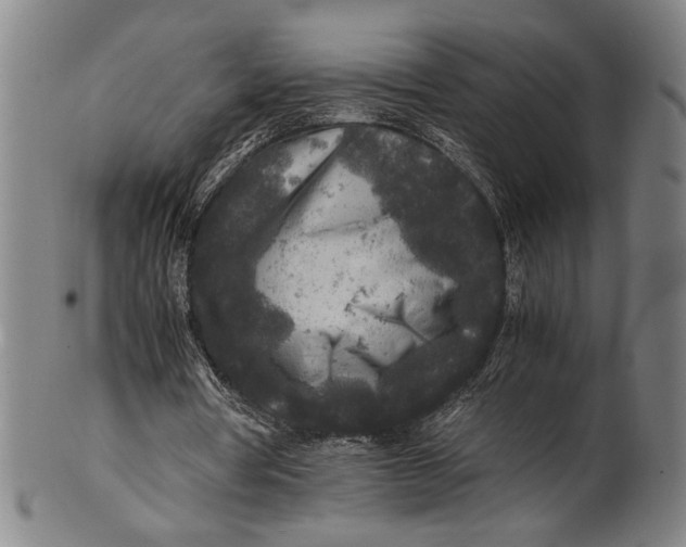 X0000100850386200807111221