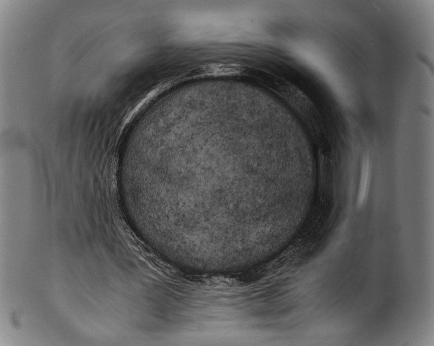 X0000100850387200807111221