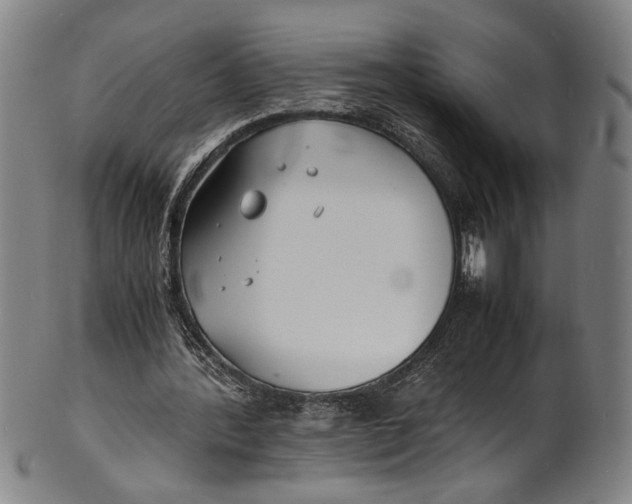 X0000100850388200807111221