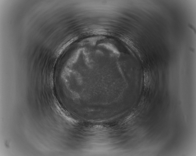 X0000100850390200807111221