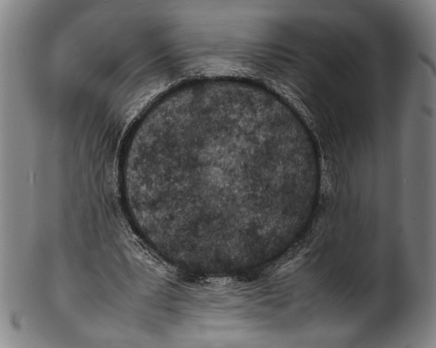 X0000100850391200807111221