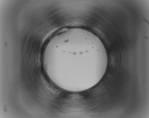 X0000100850392200807111221