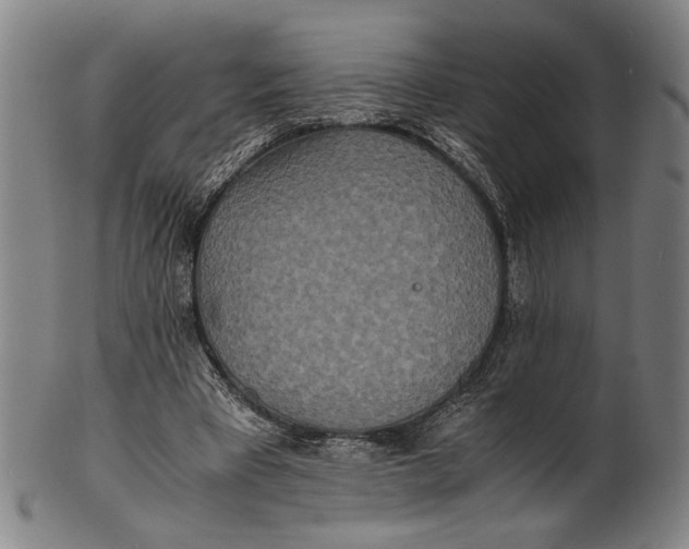 X0000100850393200807111221