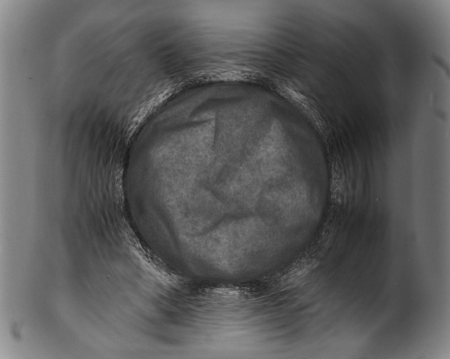 X0000100850394200807111221