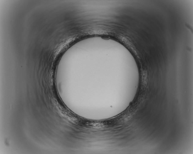 X0000100850395200807111221