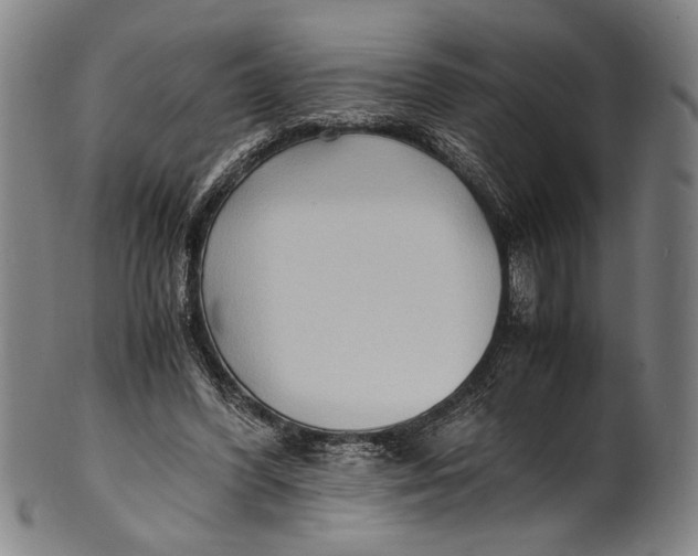 X0000100850396200807111221