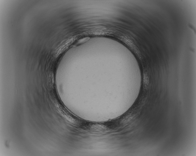 X0000100850397200807111221