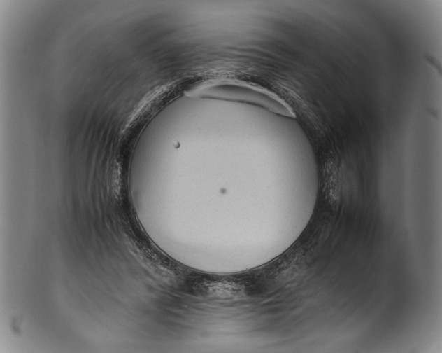 X0000100850400200807111221