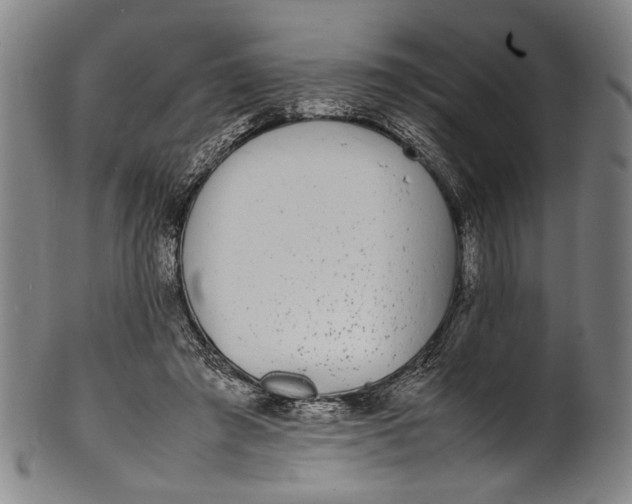 X0000100850401200807111221