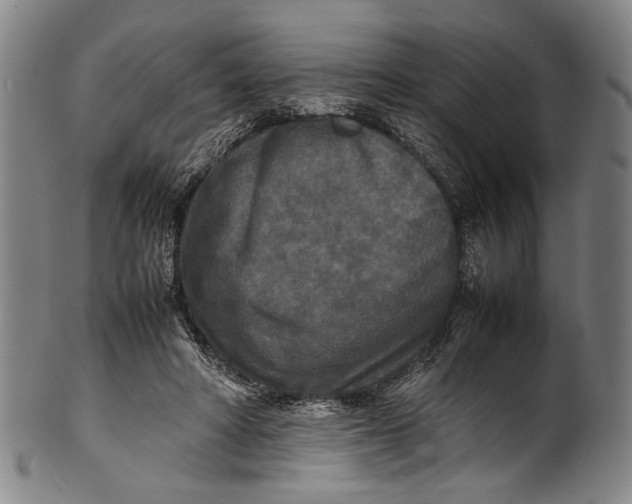 X0000100850402200807111221