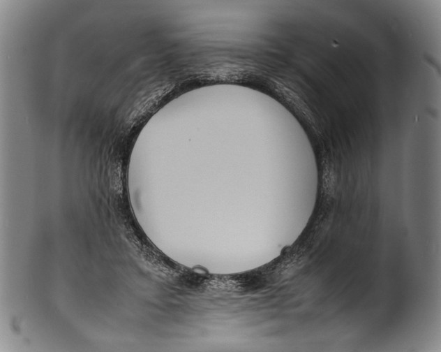 X0000100850403200807111221