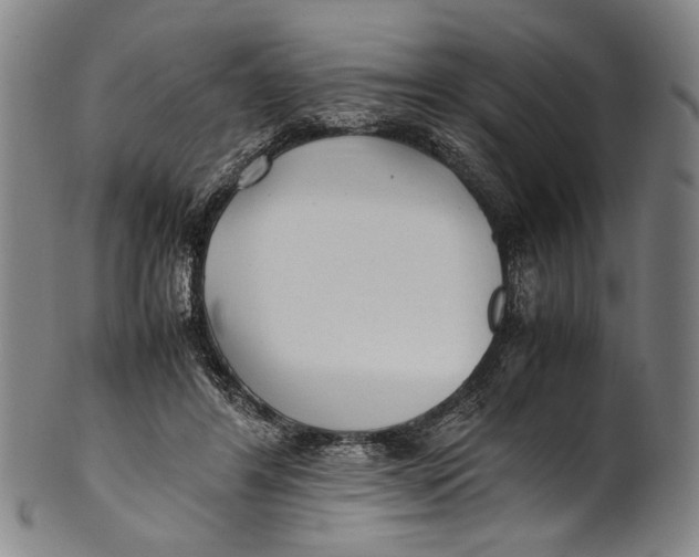 X0000100850404200807111221