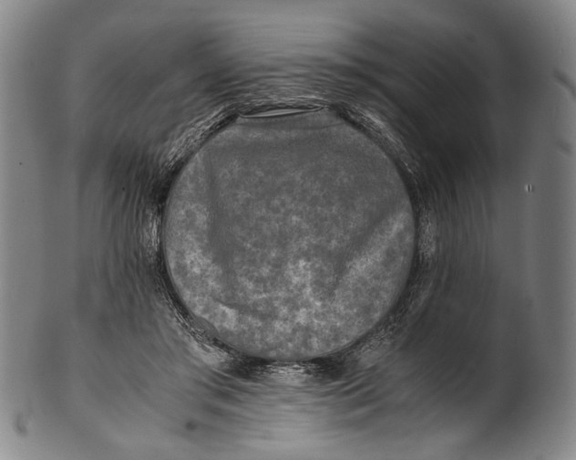 X0000100850405200807111221