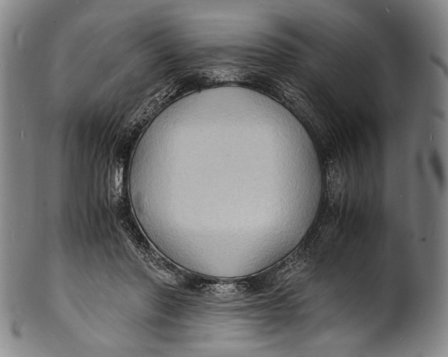 X0000100850406200807111221