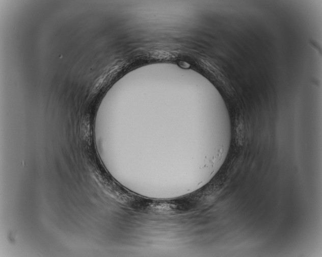 X0000100850407200807111221