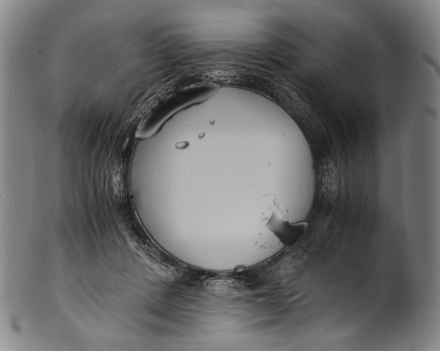 X0000100850408200807111221