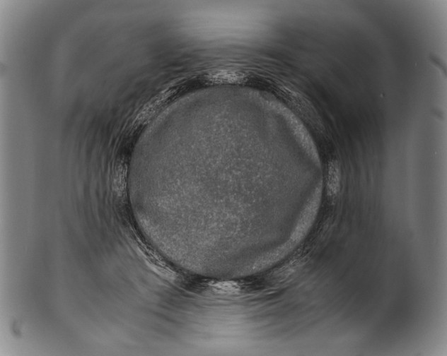 X0000100850409200807111221