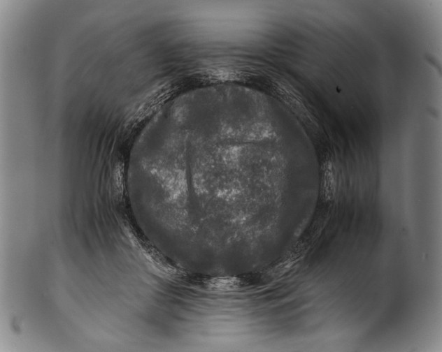 X0000100850410200807111221