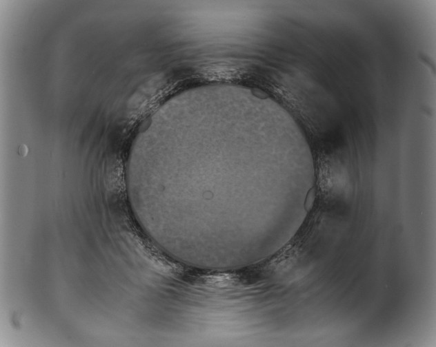 X0000100850411200807111221