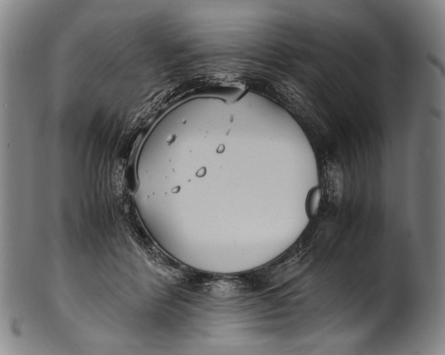 X0000100850412200807111221