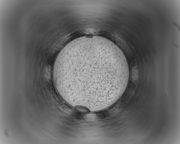 X0000100850413200807111221