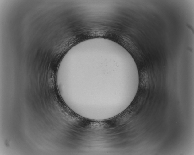 X0000100850414200807111221