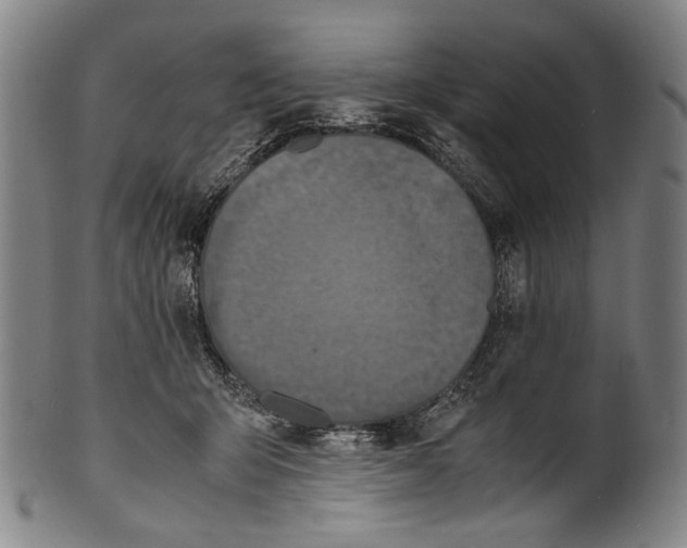 X0000100850415200807111221